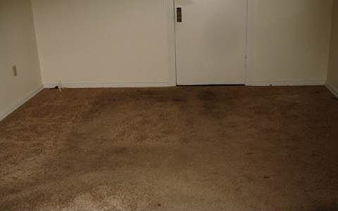 5th image of 298 SW Miller Ter