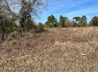 SE 115th Place Rd LOT 4, Ocklawaha, FL 32179
