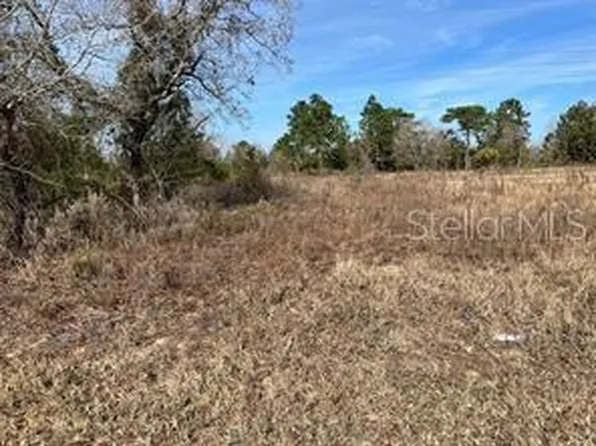 SE 115th Place Rd Lot 4, Ocklawaha, FL 32179