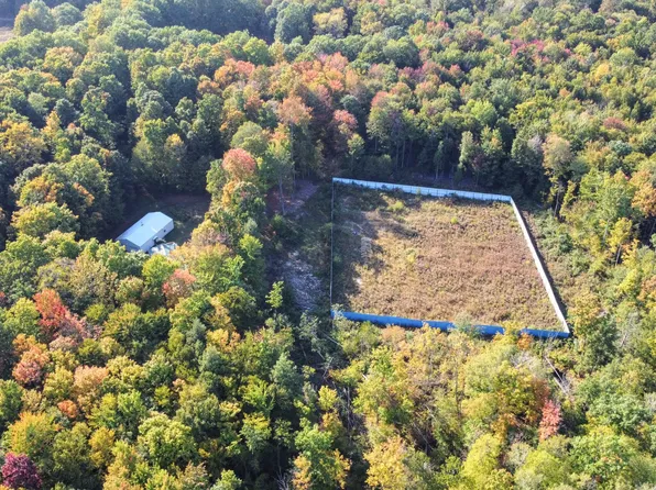 8117 W Twelve Mile Rd, Bitely, MI 49309