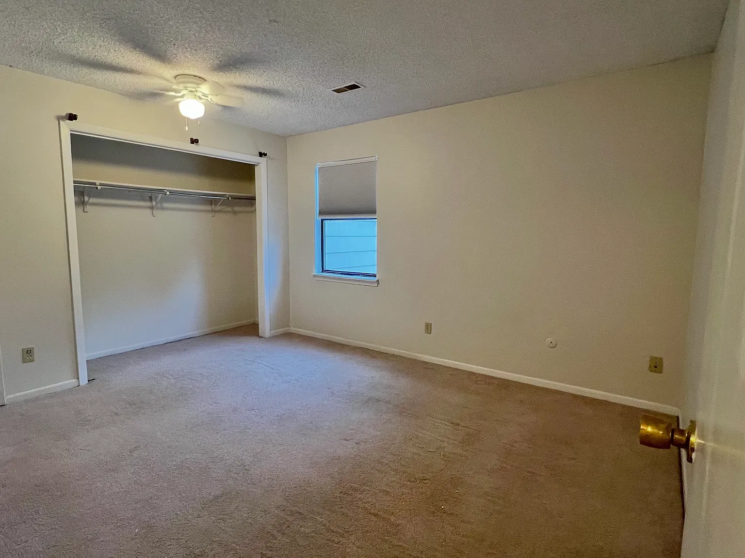 1 bed, 737 sqft, $1,200 — Photo 2