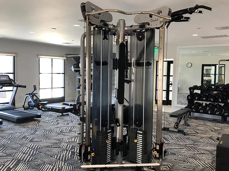Fitness Studio Strength Training Machines