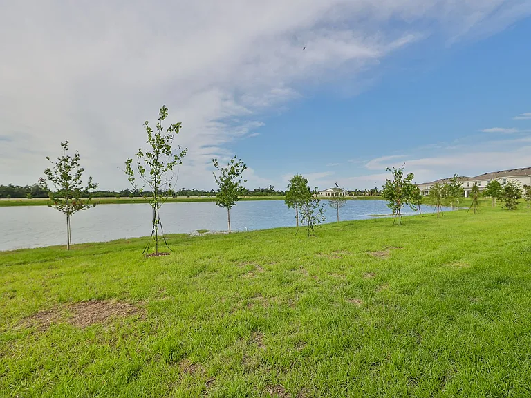 233 Mangrove Shade Cir — Photo 36