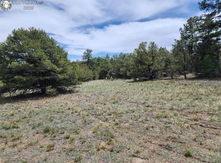 0 7th Trl, Cotopaxi, CO 81223