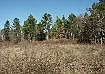 1st image of 0000 County Road 3406