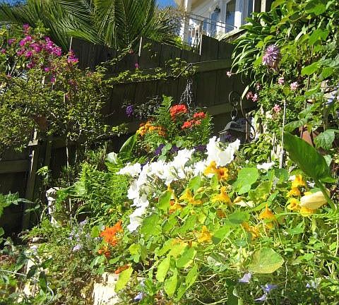 Rear / SW Garden View