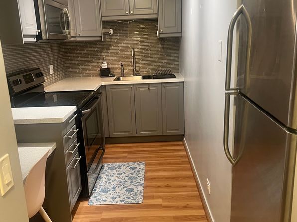 899 S Plymouth Ct APT 1701