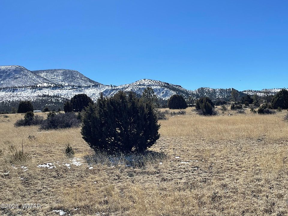 45 N 2003rd, Nutrioso, AZ 85932 Zillow