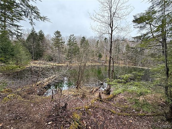 3rd image of 10547 Sulphur Springs Rd