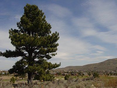 6624 Jung Ct, Reno, NV 89511 | Zillow