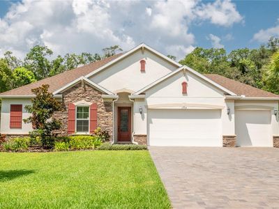 17704 Estuary Grove Pl, Lutz, FL, 33549
