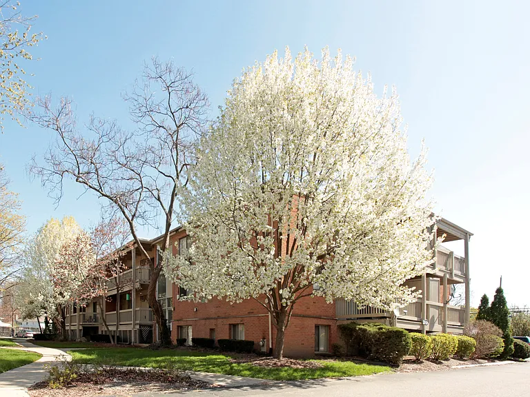 Amber Apartments — Photo 17
