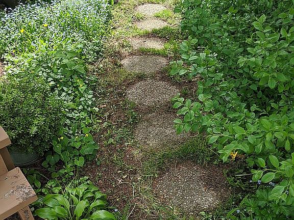 walkway on side of house