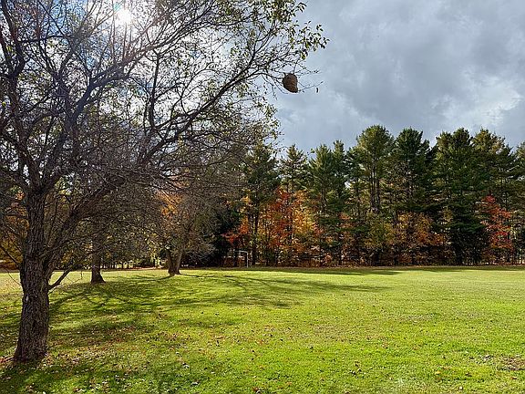 Back Yard - view 3