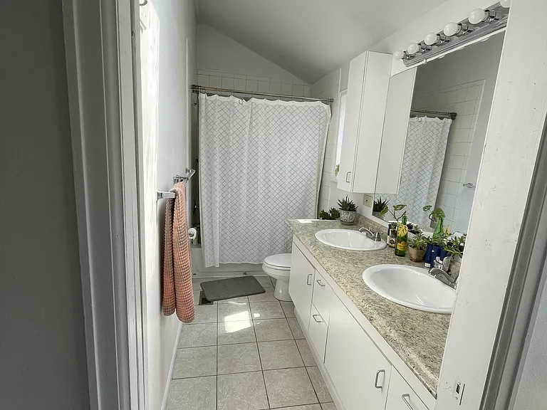 Master Bath with Skylight