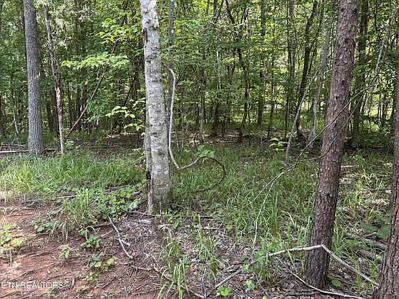 3rd image of 130 Tellico Camp Rd