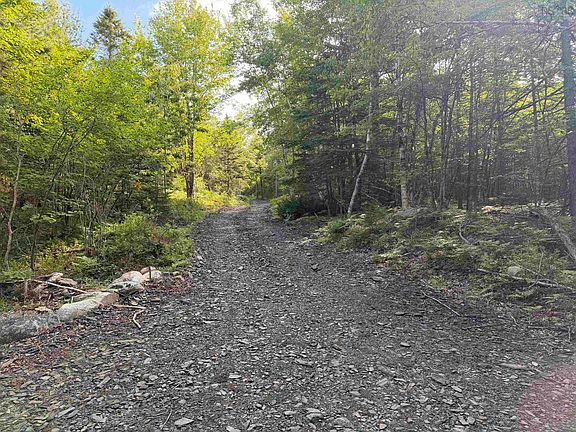 5th image of LOT 7 Huey Lake Rd