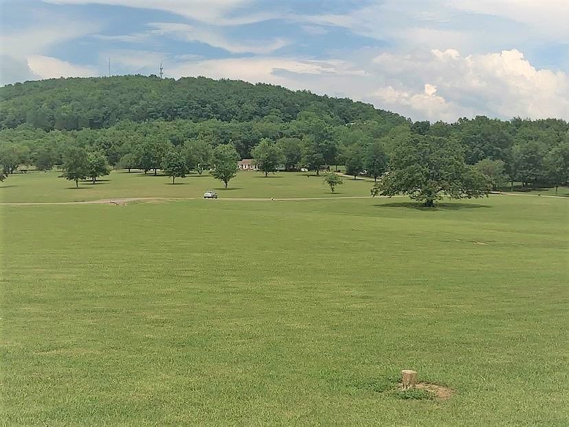 1st image of 3540 Highway 231 N