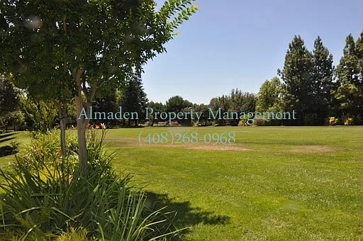 11616 Cedar Spring Ct — Photo 5