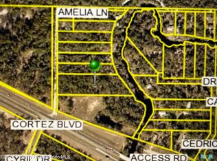 0 Amelia Ln, Dade City, FL 33523
