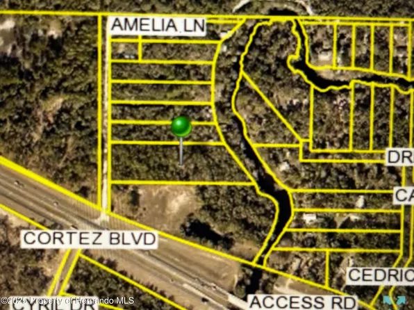 0 Amelia Ln, Dade City, FL 33523
