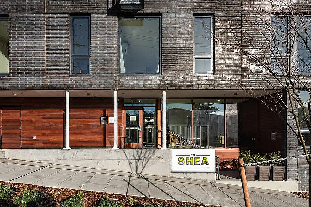 Shea — Photo 1