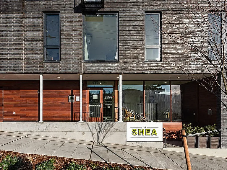 Shea — Photo 3