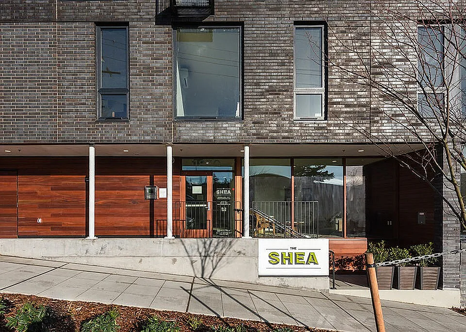 Shea