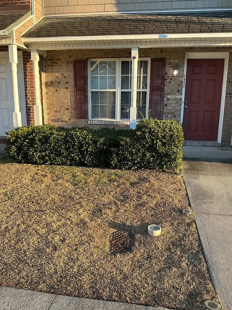 403 Springwood Dr - Springwood — Photo 2