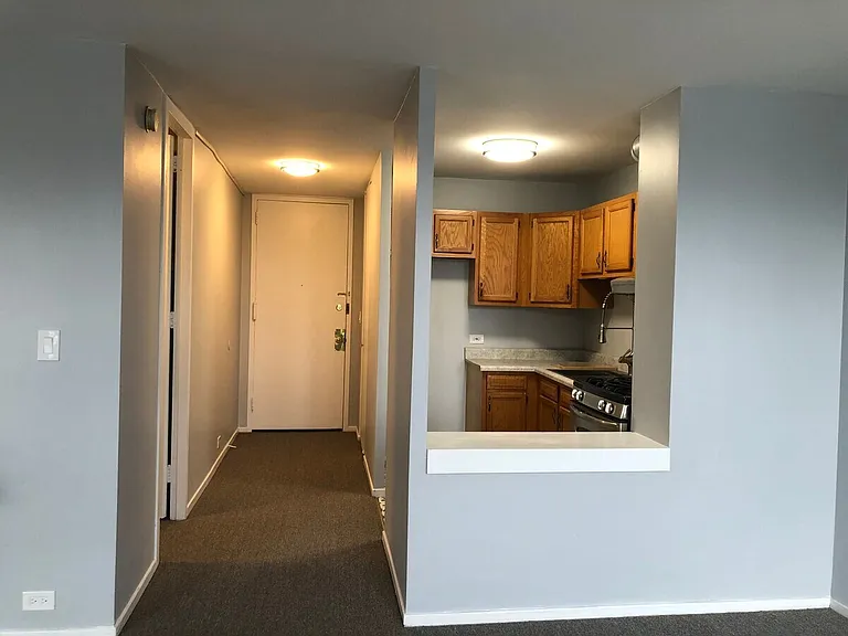 3041 S Michigan Ave #308 — Photo 3