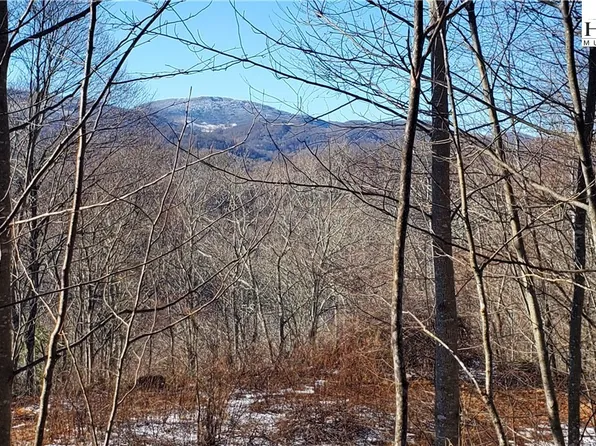 000 Wild Iris Lane, Banner Elk, NC 28604