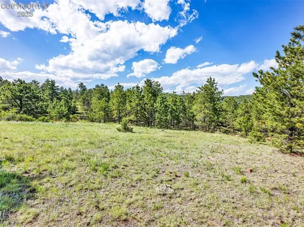 3044 Delilah Dr, Canon City, CO 81212