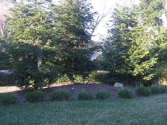pine trees/landscaping