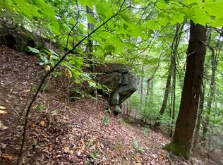 255 Monroe Herman Rd, Banner Elk, NC 28604