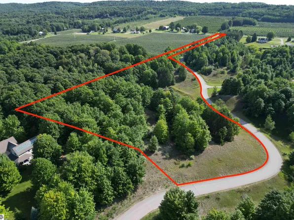 5 E Meander Ln, Cedar, MI 49621