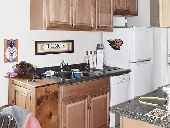 4th image of 3815-17 N Greenview Ave #3815-2E