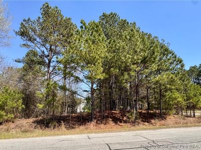 Manassas Dr, Sanford, NC, 27332