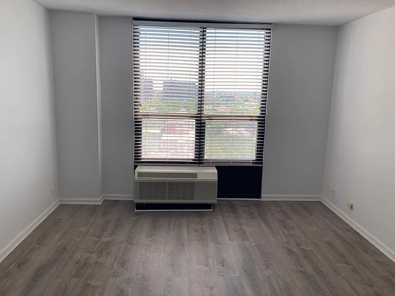 901 S Plymouth Ct #1301 — Photo 10