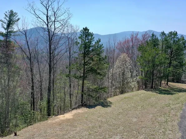 G1 E Hampshire Dr, Whittier, NC 28789