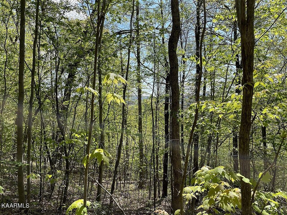 1st image of 4 Country Mountain Rd #4