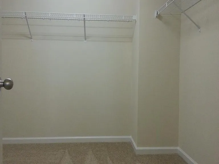 Spacious master closet