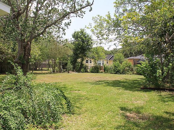 back yard