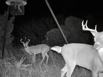 1646 Farm Market, Aspermont, TX, 79502