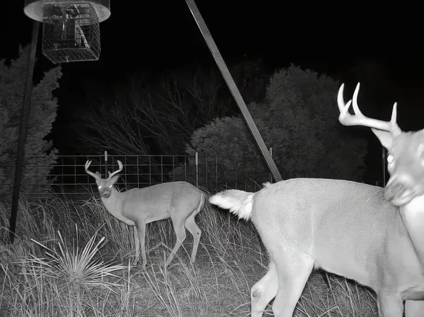 1646 Farm Market, Aspermont, TX 79502