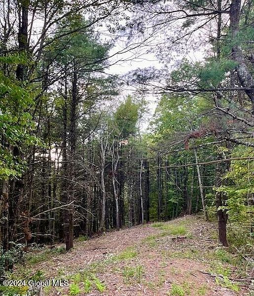 3rd image of L67 Old Ghost Road Lot 6