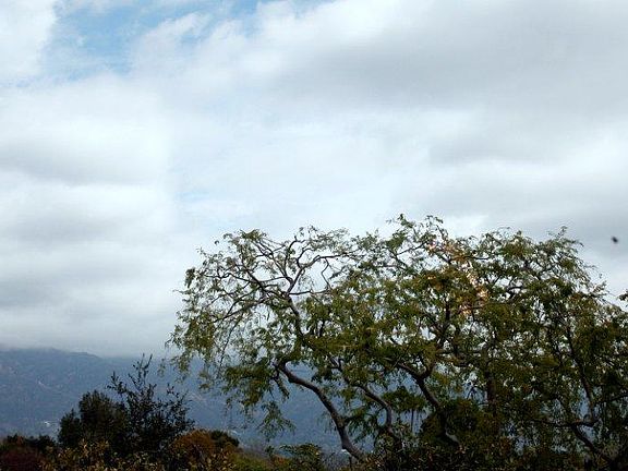 View on a cloudy day