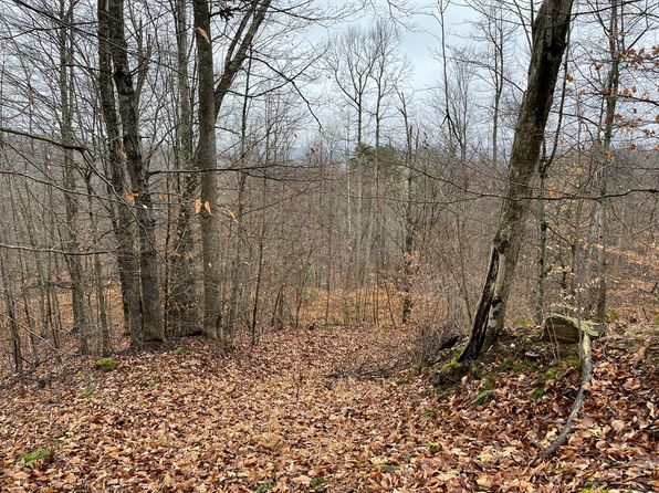 RT 64 Braden Hill Rd., Alma, WV 26320