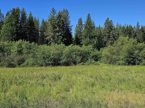 5 Olinger Rd, Springdale, WA 99173