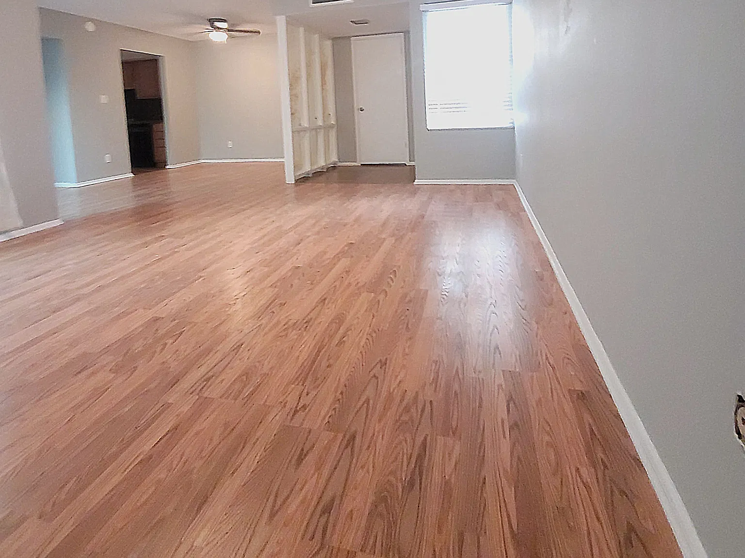 13403 North 24th Lane - 1 — Photo 3