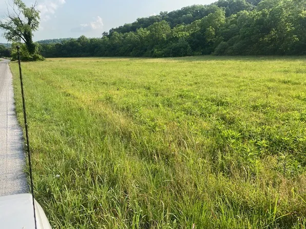 0 Minnow Branch Rd, Lynnville, TN 38472